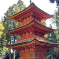＜養父市＞やぶの秘境！？『名草神社 三十塔』がキニナル！！